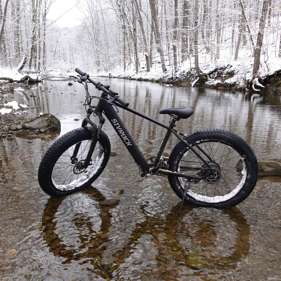 SIVROCK Professional Electric Bike