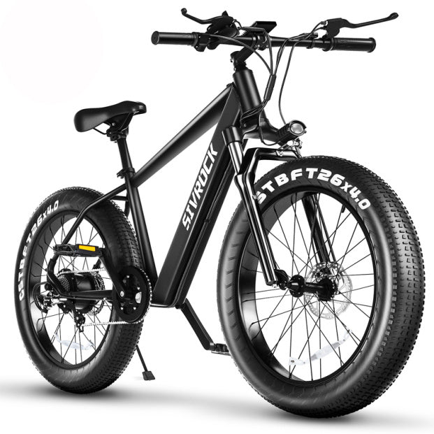 SIVROCK Professional Electric Bike
