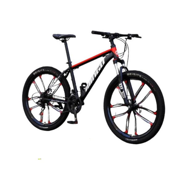 Mountain Bike with Variable Speed