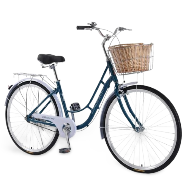 SELFREE FEIGE Brand Bicycle Women's