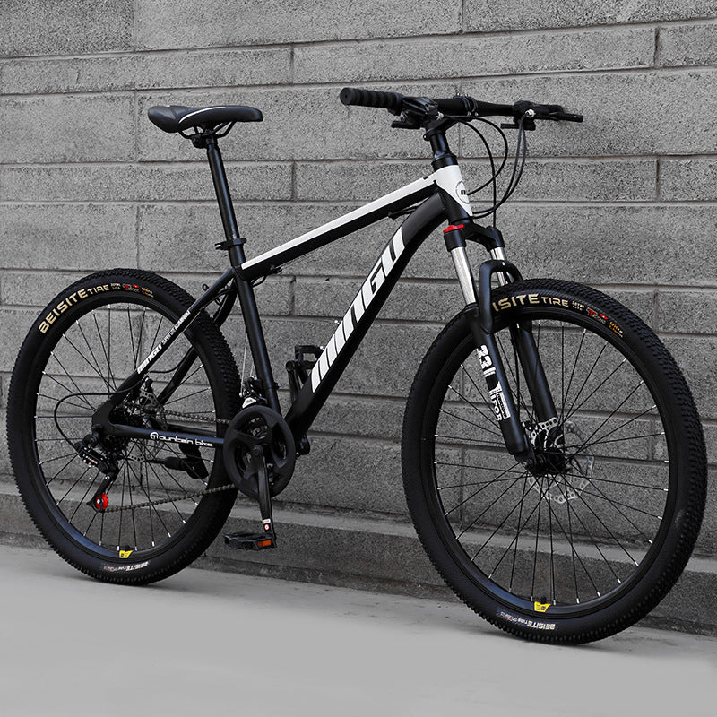 Mountain Bike with Variable Speed