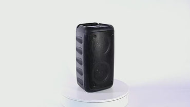 AYEBEAU Karaoke Radio FM Bluetooth Speaker